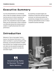 Improving Business Performance: Analytic Tools Report - page 2