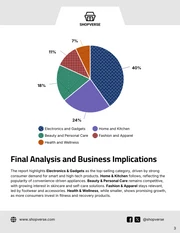 Best Performing Product Sales Report Template - page 3