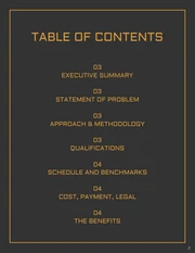 Business Proposal Outline - Seite 2