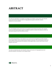 White and Green Consulting Proposal Template - صفحة 3