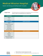 Audit Report - Seite 2