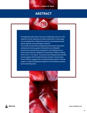 Dark Blue and White Research Proposal Template - صفحة 3