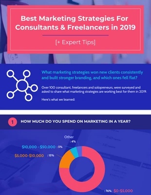 premium  Template: Lebendige Marketingstrategie für Freiberufler Statistik