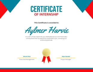 Free  Template: Certificato di tirocinio rosso e blu semplice