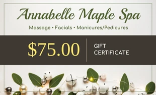 Free  Template: Chèque-cadeau pour le spa Light Holiday