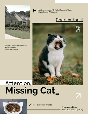 Free  Template: Cartel Sencillo Gato Desaparecido Beige