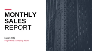 business  Template: Rapporto mensile sulle vendite