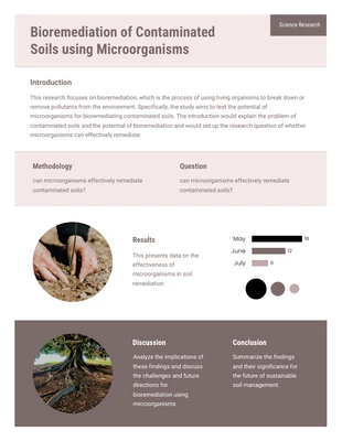 Free  Template: Biorremediação de solos contaminados com pastel