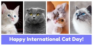 Free  Template: Publicación en Twitter del Día del Gato de Grid
