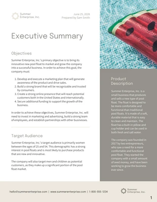 premium  Template: Plantilla de informe ejecutivo