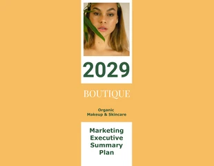 premium  Template: Modello di rapporto di riepilogo sul marketing a colori smorzati