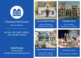 premium  Template: Postal inmobiliaria Blue Block