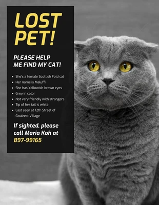 Free  Template: Cartel sencillo de gato perdido
