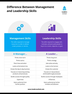 Free accessible Template: Infografica sulle competenze di gestione e leadership