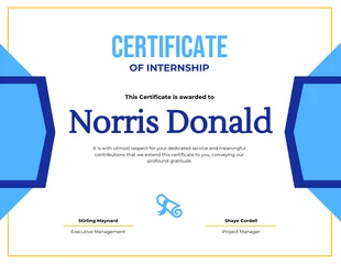 Free  Template: Certificato di tirocinio semplice bianco e blu