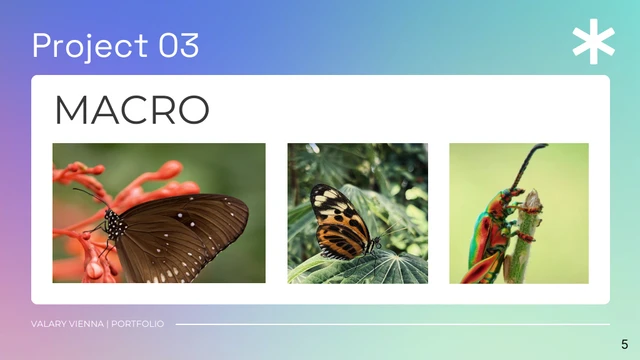 Colorful Gradient Photography Portfolio Presentation - Página 5