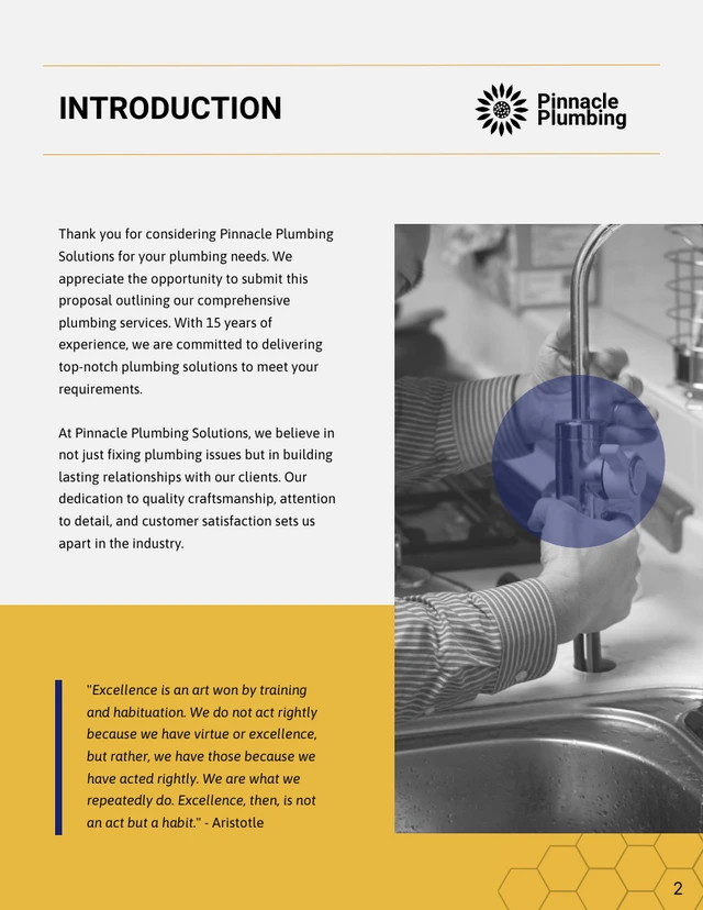 Plumbing Services Proposals - Página 2