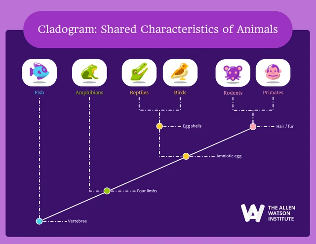 Cladograma brincalhão roxo de animais Template Modelo de cladograma brincalhão roxo de animais