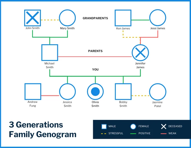 3 Generations Family Genogram